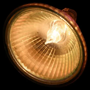 de-vlek-van-het-halogeen-455111